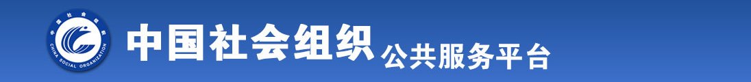 几把插入视频亚洲全国社会组织信息查询